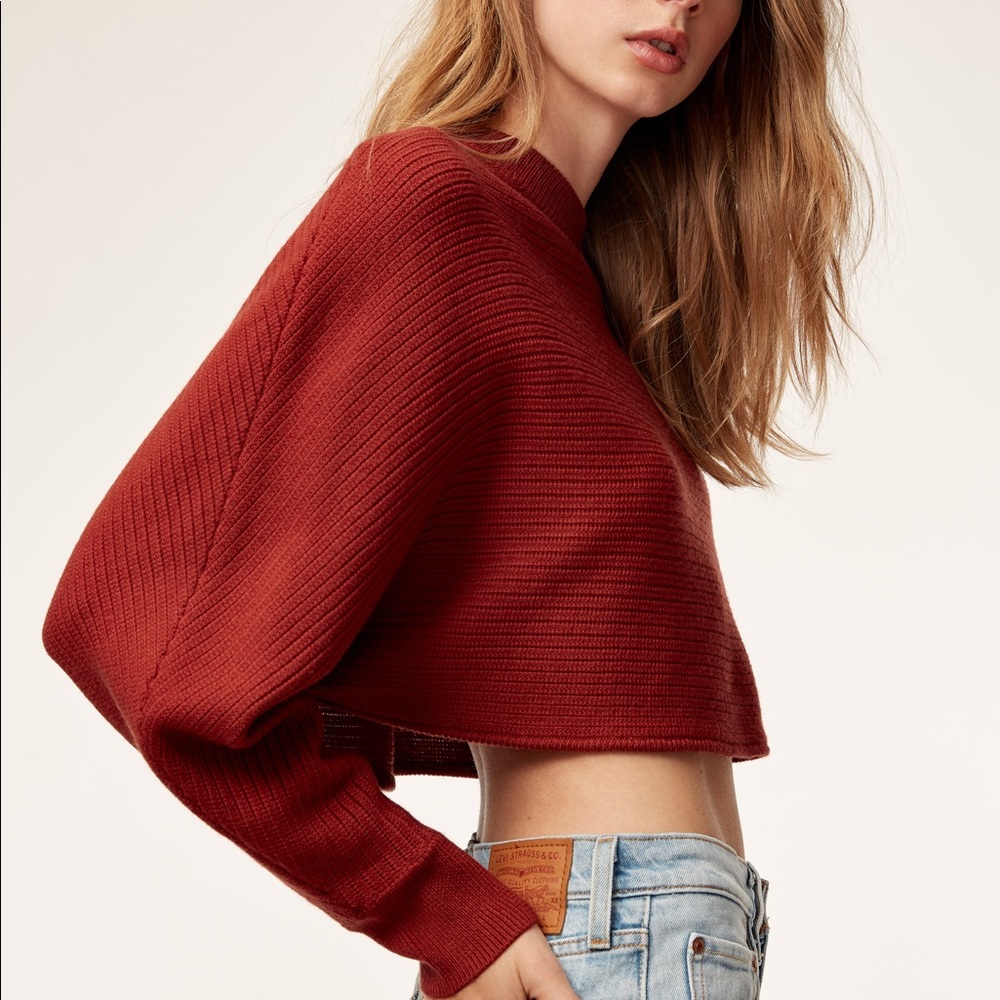Aritzia Wilfred Lolan Merino Wool Crop Sweater